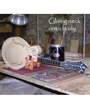 gluing neck onto body